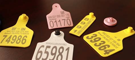 livestock rfid tags